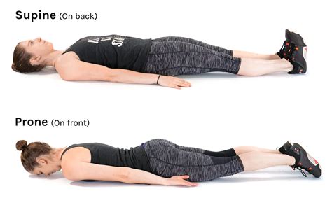 prone bone stellung|Prone Bone Sex Position: How to Do It and Make It Feel Amazing